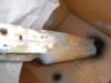 paint-2004_0103_130626AA.JPG (101820 bytes)