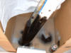 paint-2004_0103_130733AA.JPG (100005 bytes)